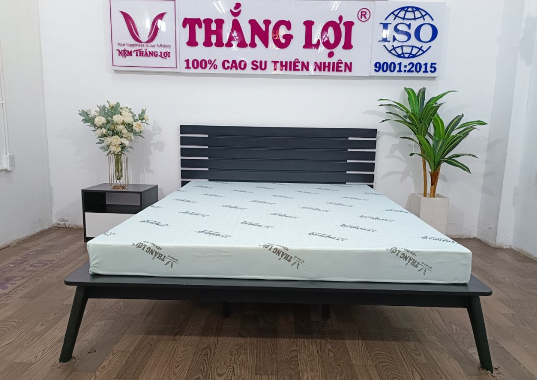 Điều gì tạo nên sự khác biệt? sự lựa chọn của người thông thái: nệm cao su non Thắng Lợi