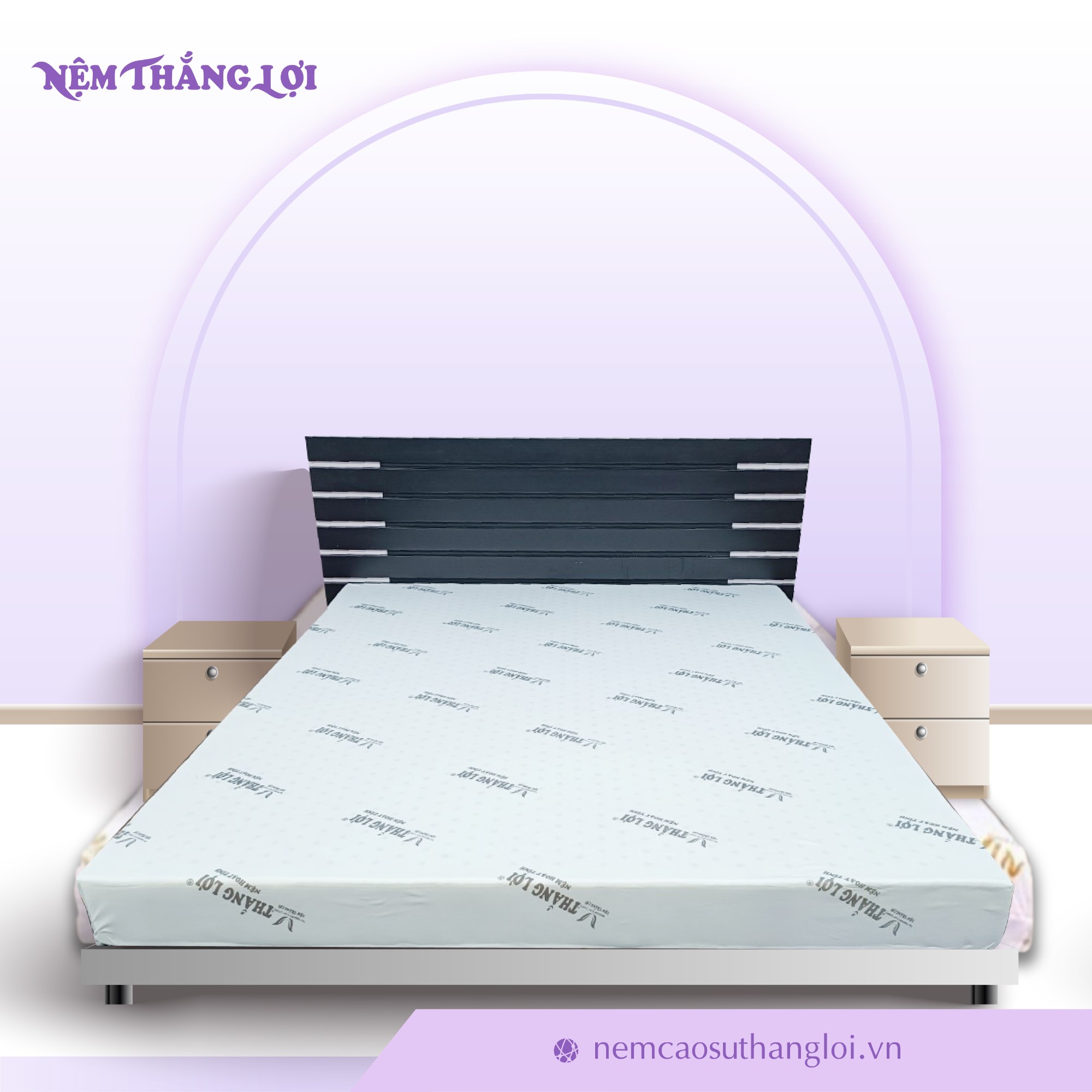 NỆM CAO SU HOẠT TÍNH THẮNG LỢI