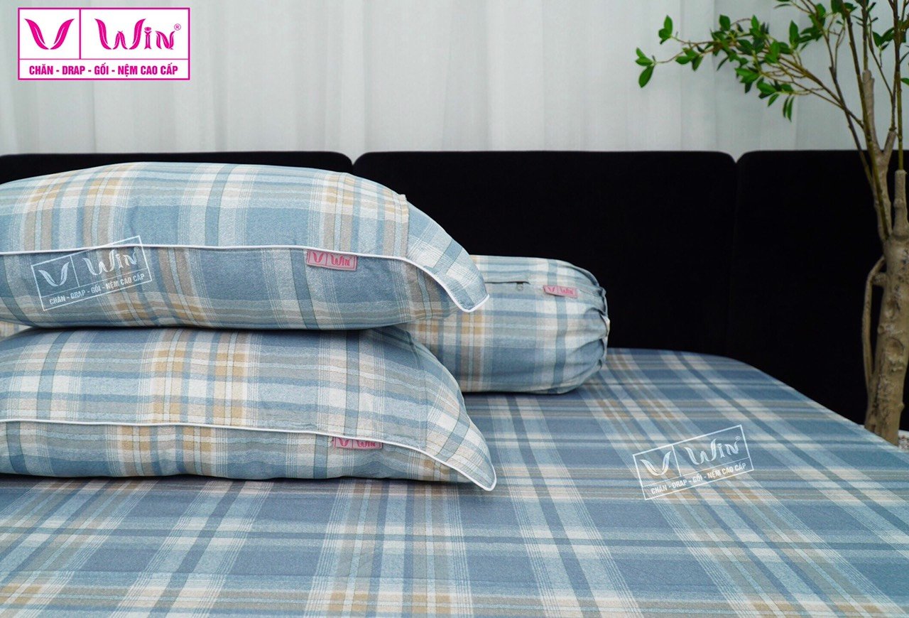Bộ chăn ga Tencel cao cấp Thắng Lợi MS823