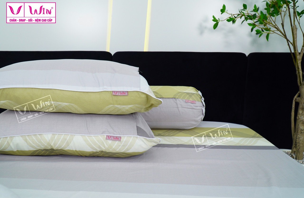 Bộ chăn ga Tencel cao cấp Thắng Lợi MS819
