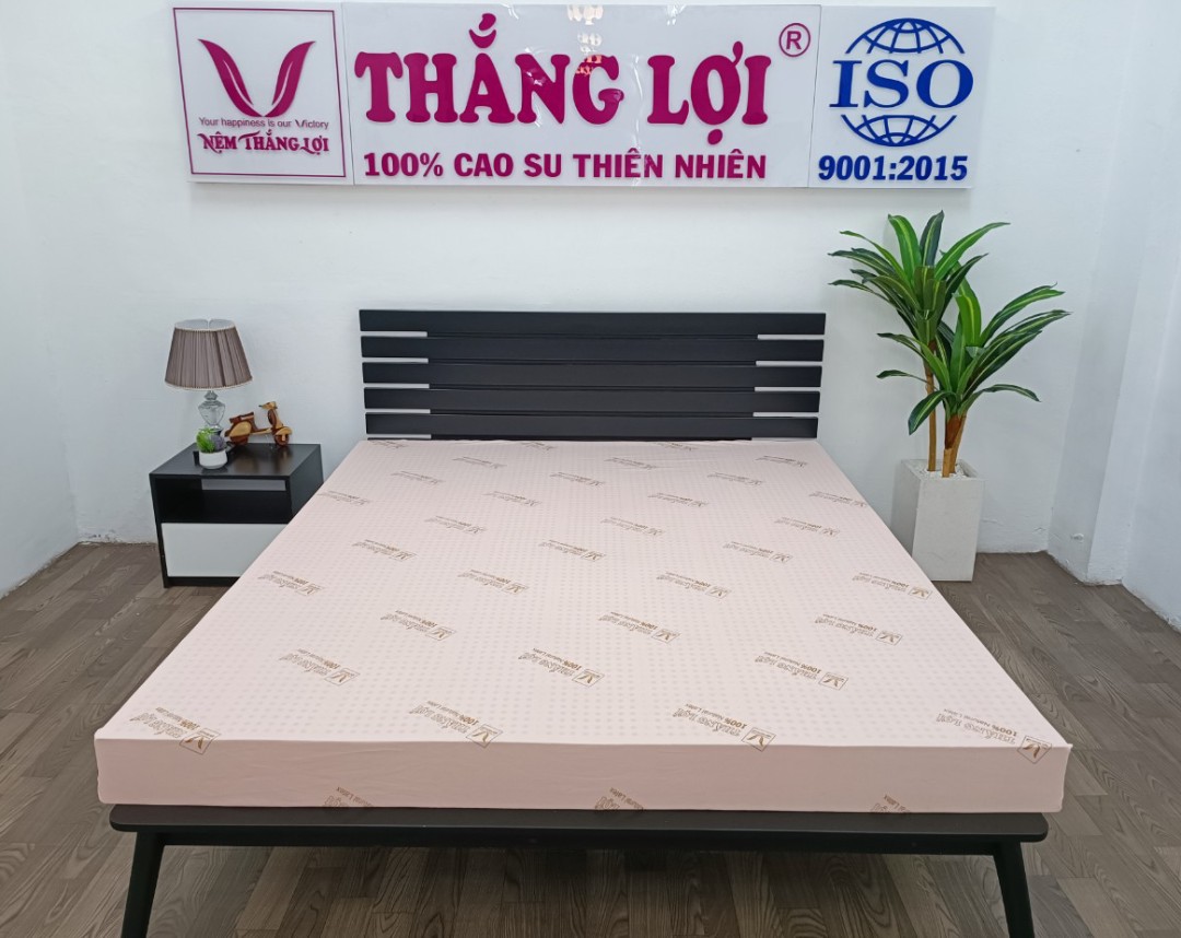 Nệm Cao Su Thiên Nhiên 100% SiSi - Advanced