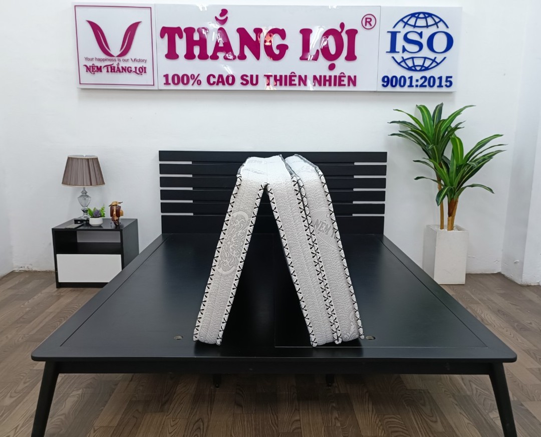 NỆM MEMORY FOAM THẮNG LỢI GẤP 3