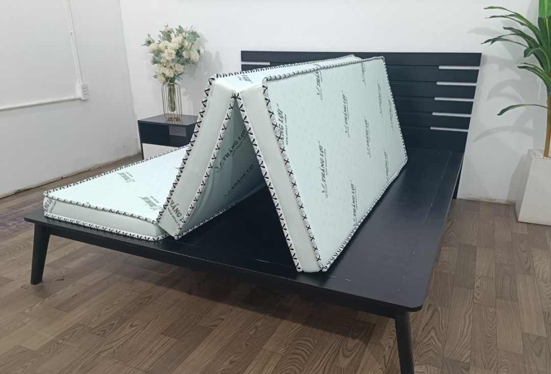 NỆM CAO SU HOẠT TÍNH THẮNG LỢI GẤP 3