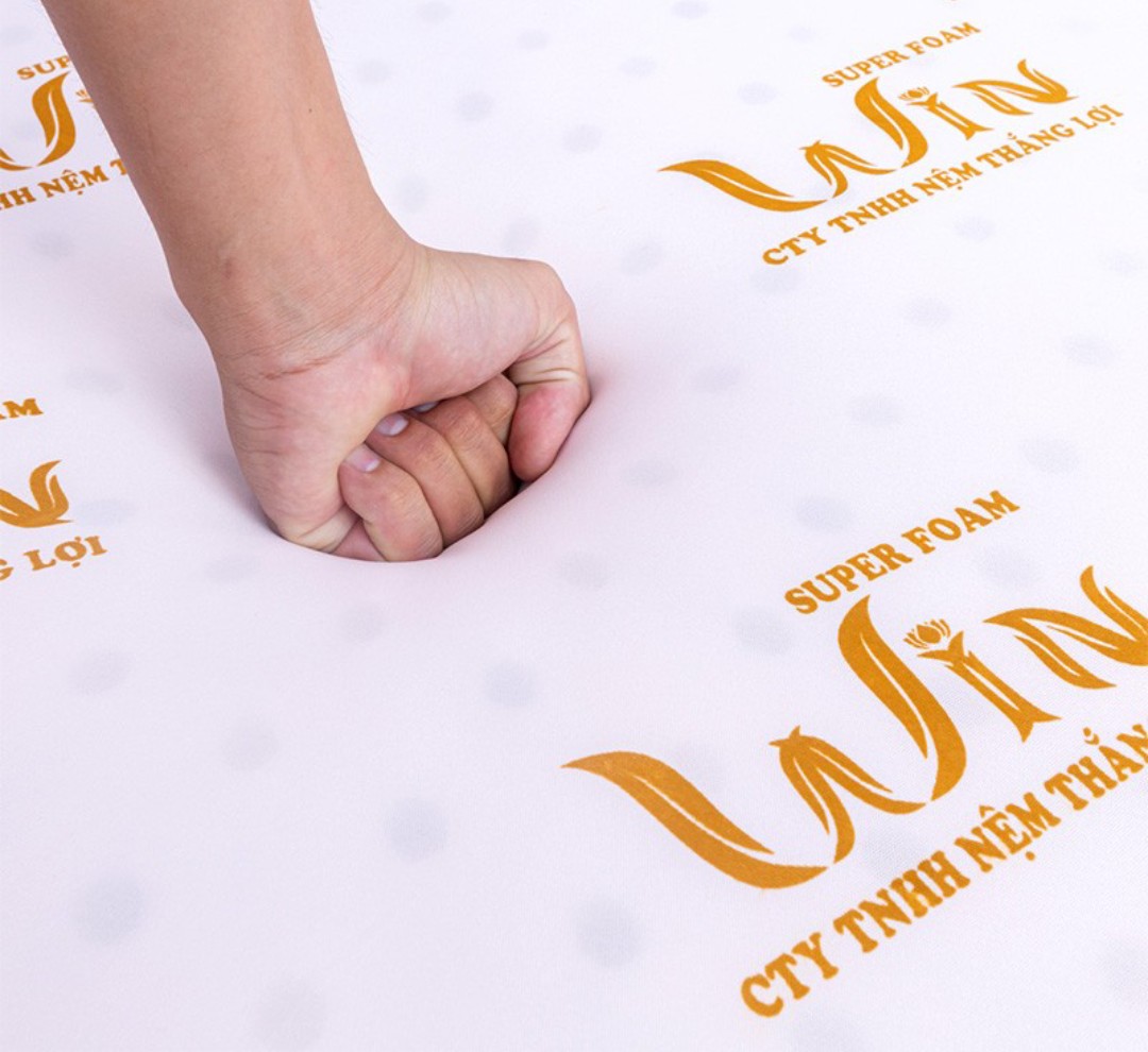 NỆM WIN FOAM THẮNG LỢI