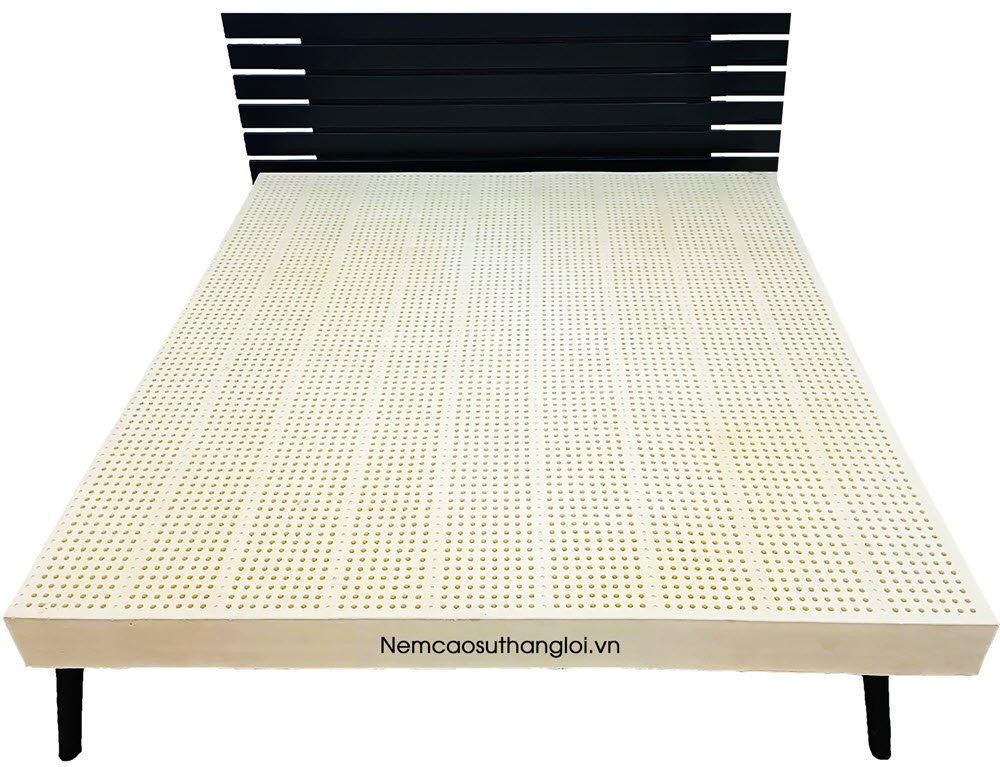 NỆM CAO SU THIÊN NHIÊN 100% SISI - ADVANCED