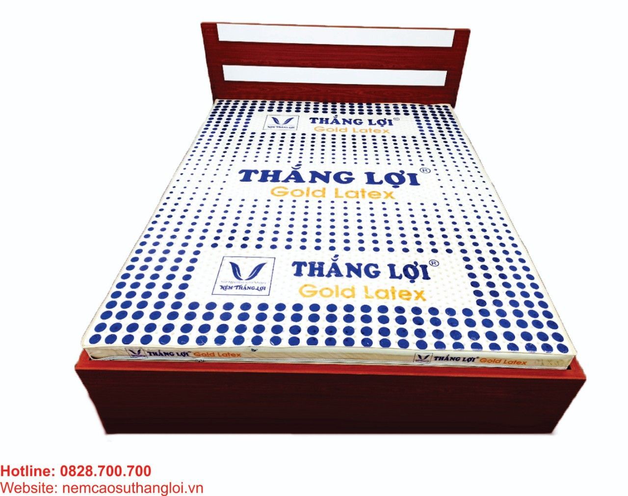 NỆM CAO SU GOLD LATEX